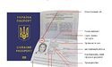 Унікальні та найкращі! Цікаві факти про біометричні паспорти